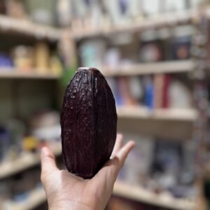 Full Cacao Shaker
